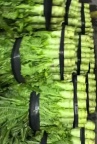 义乌蔬菜批发大量价优